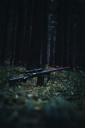.308 Winchester Precision Hunting Rifle