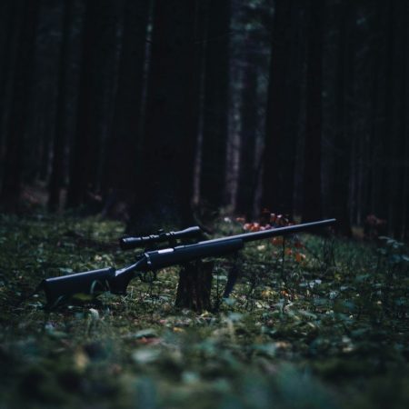 .308 Winchester Precision Hunting Rifle